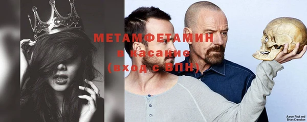 сатива Беломорск