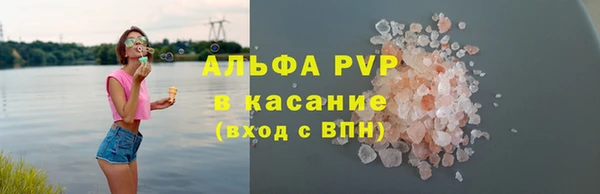 сатива Беломорск