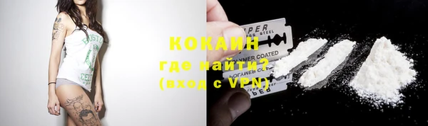 сатива Беломорск