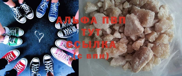 сатива Беломорск