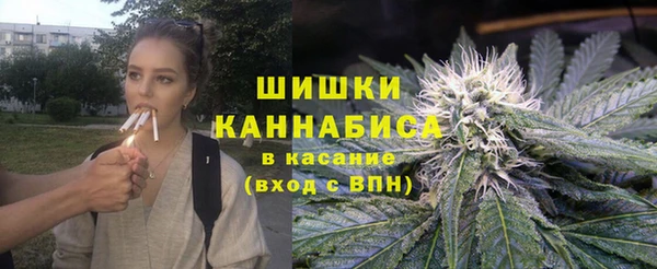 сатива Беломорск
