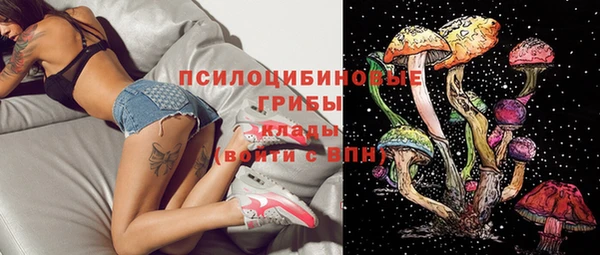 сатива Беломорск