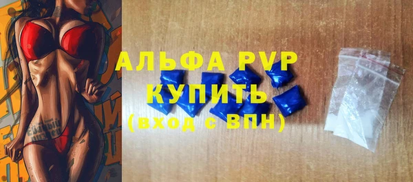 сатива Беломорск